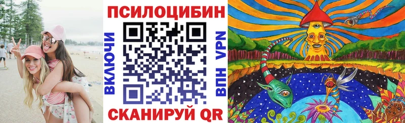 Галлюциногенные грибы MAGIC MUSHROOMS  Купить где  Новоуральск 